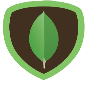 MongoDB Image